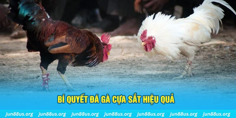 qh99 nổ hũ may mắn