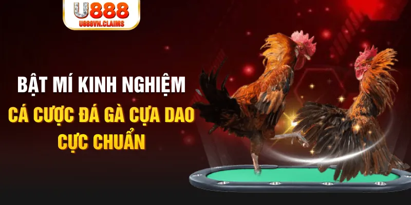qh99 casino hồ tràm có cho người việt vào không