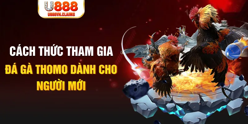 qh99 truc tiep da ga