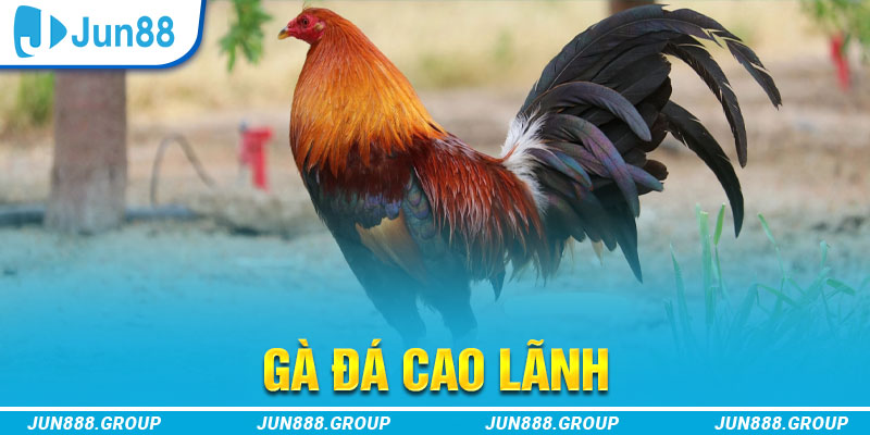 qh99 tai game vua bai ve may tinh