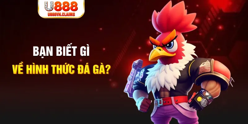 qh99 đăng nhập liêng tặng tiền