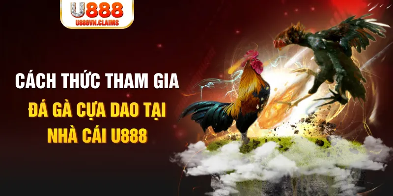 qh99 đá gà 88.com
