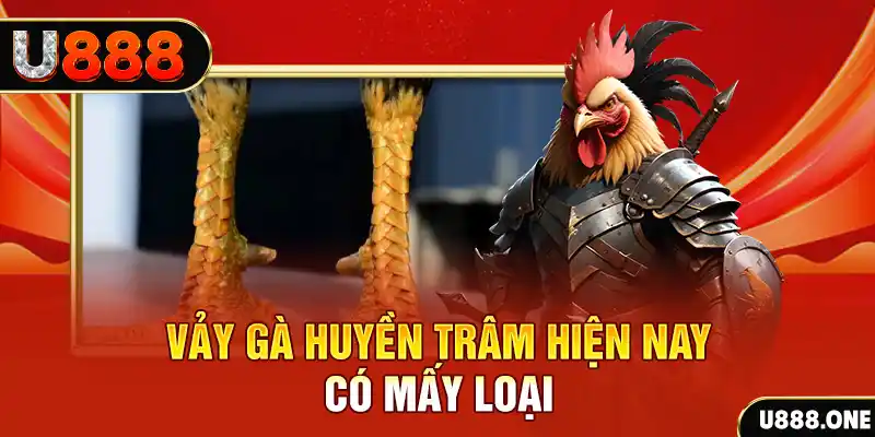qh99 đăng nhập nổ hũ miễn phí