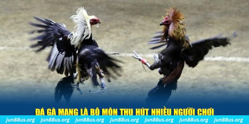 qh99 đăng nhập sòng bạc số 1