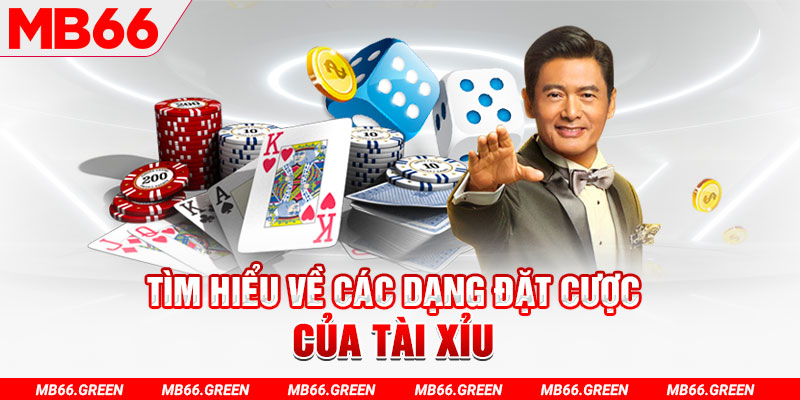 qh99 what is a casino loyalty program