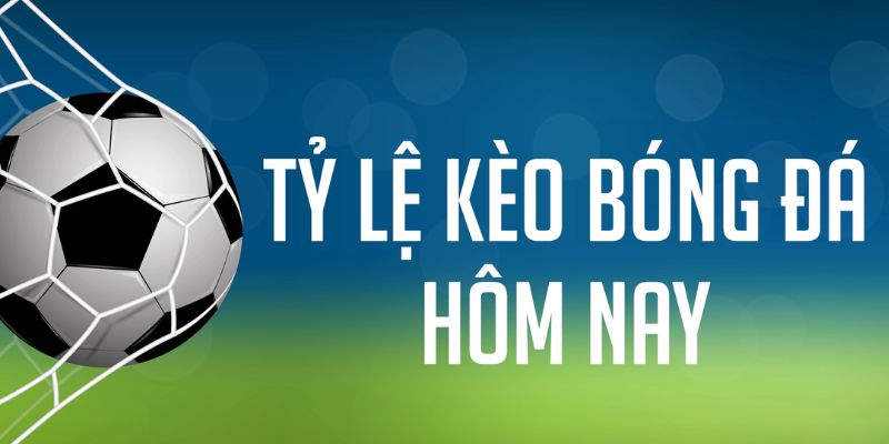 qh99 đăng nhập phỏm