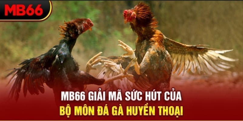 xổ số đài bắc