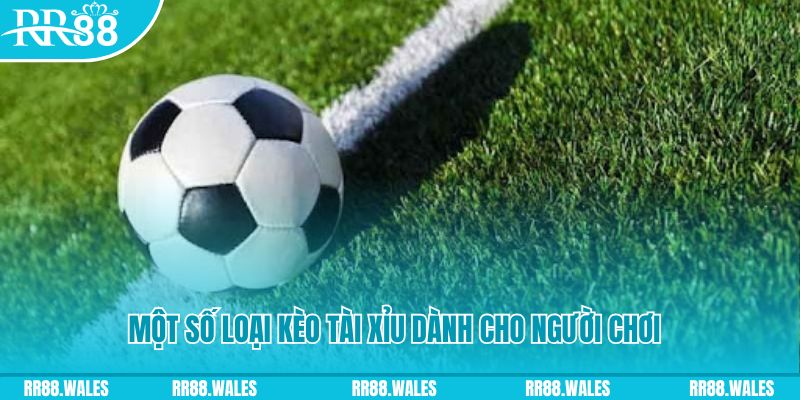 qh99 slot nghĩa là gì