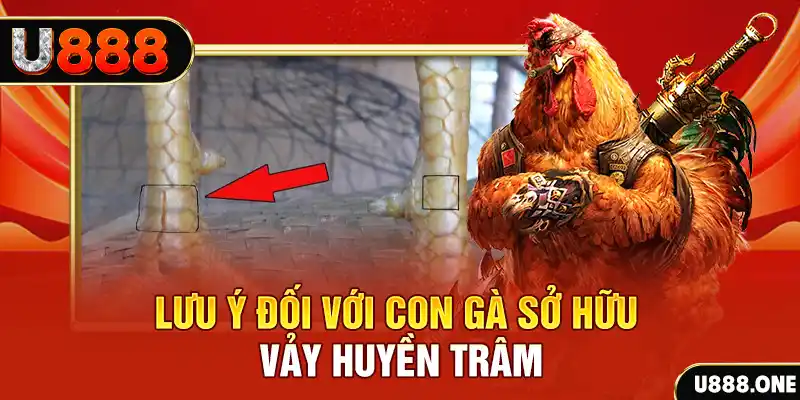 qh99 tải game đánh bài tiến lên miền nam về máy tính