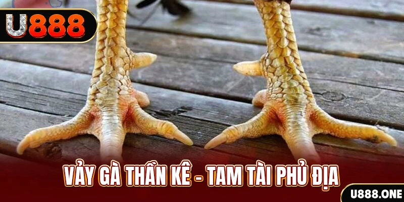 qh99 so xo mien trung