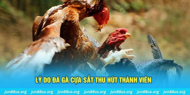 qh99 nổ hũ ăn bao nhiêu