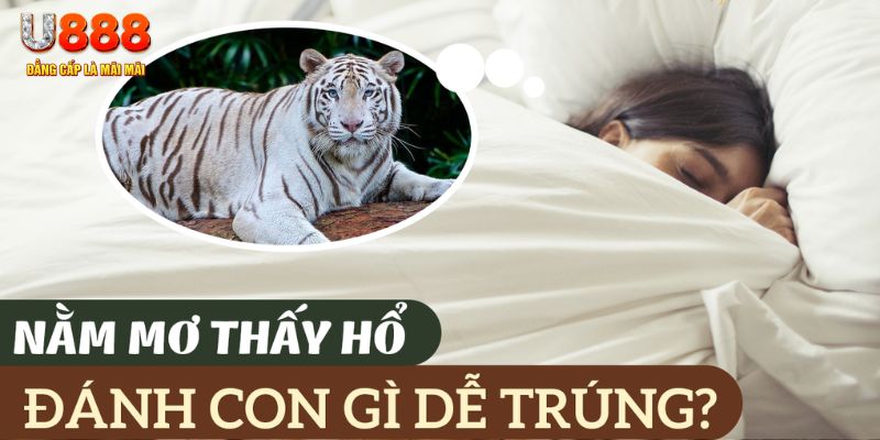 qh99 nohu .mx nổ hủ là gì