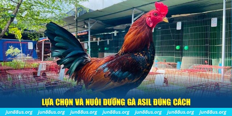 qh99 nổ hũ thần tài là gì