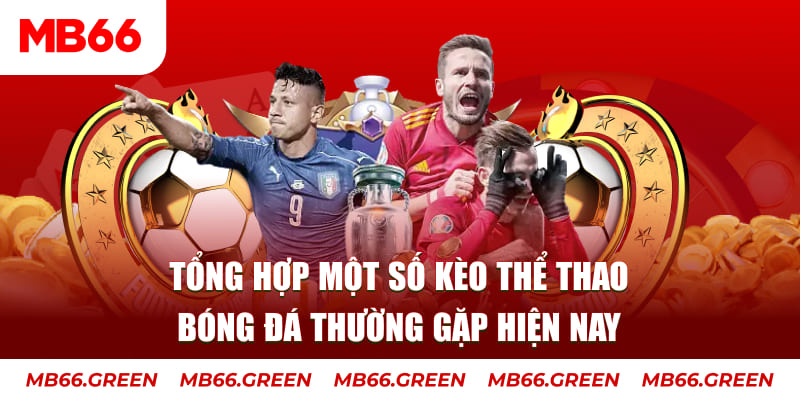 qh99 TP Xổ Số