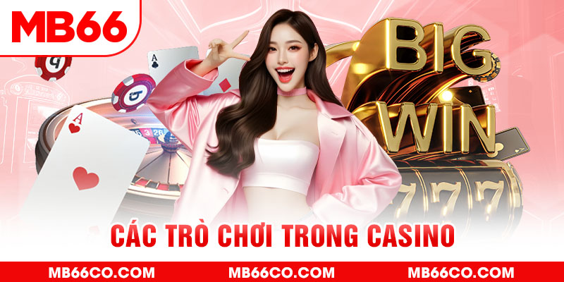 qh99 chổi lông gà