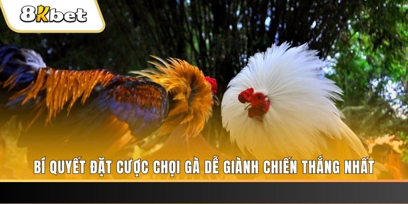 qh99 nổ hũ chơi như thế nào