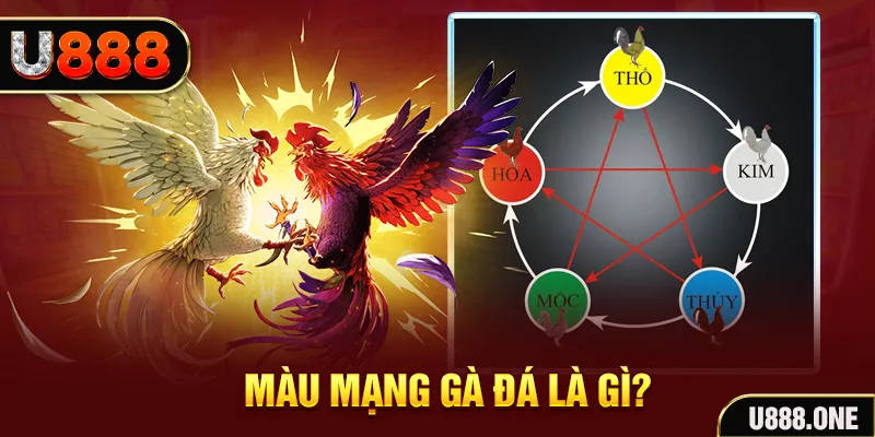 qh99 V8 Game Bài 3d