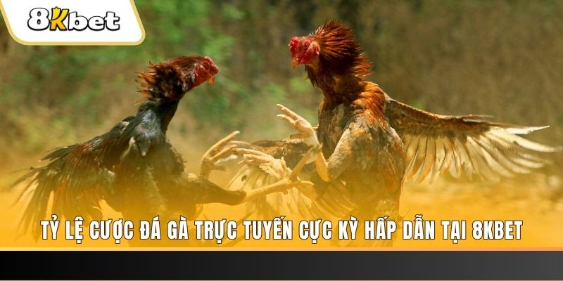 qh99 xổ số miền bắc chủ nhật