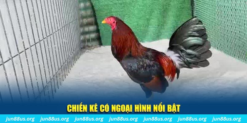 qh99 qq88 bắn cá