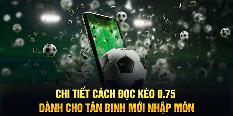 qh99 Xì tố