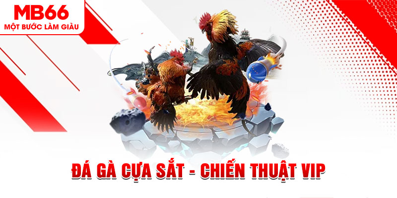 qh99 slot out là gì