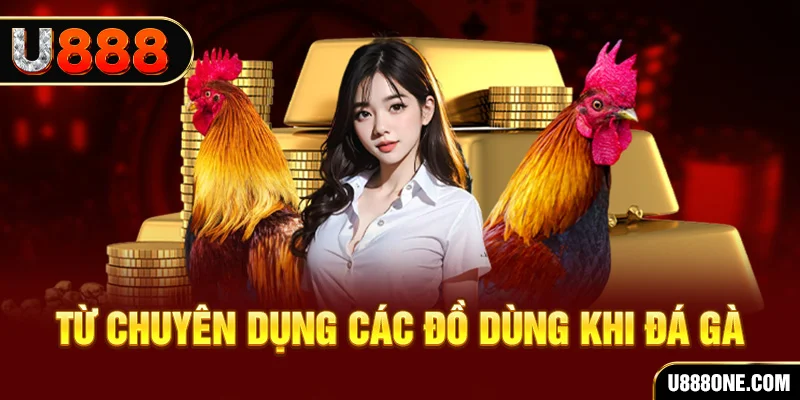 qh99 đăng nhập poker trực tiếp