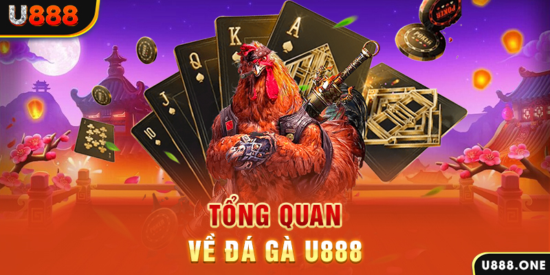 qh99 xổ số vietlott