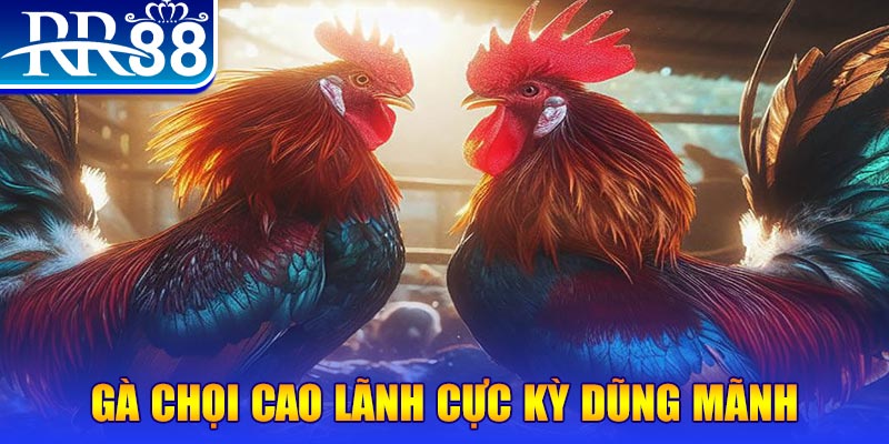 qh99 đăng nhập poker live